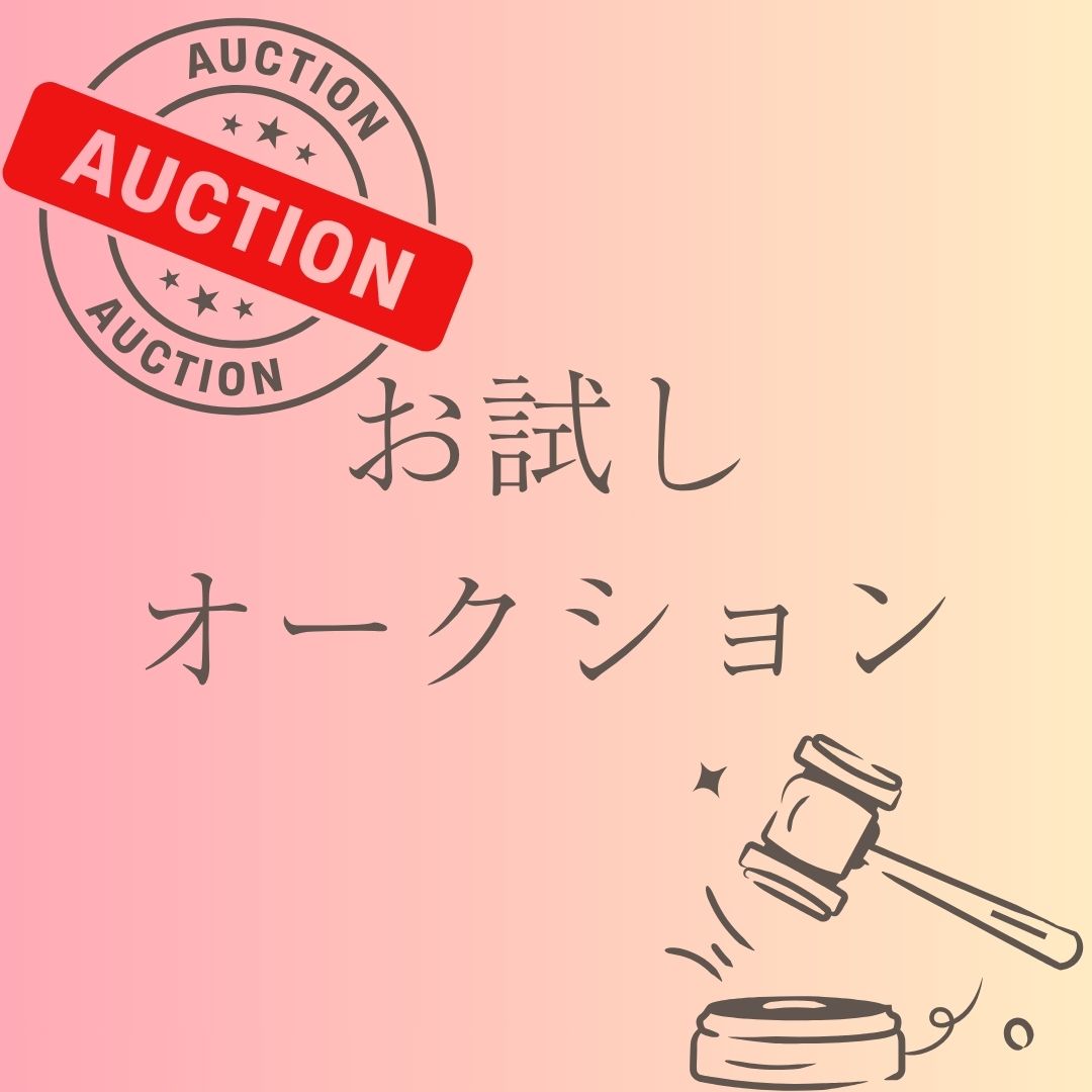 オークションデモ(お試し)
