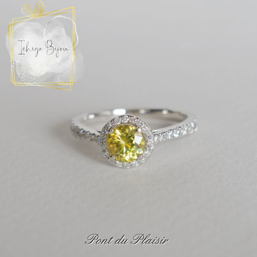 ポンデュプレジール